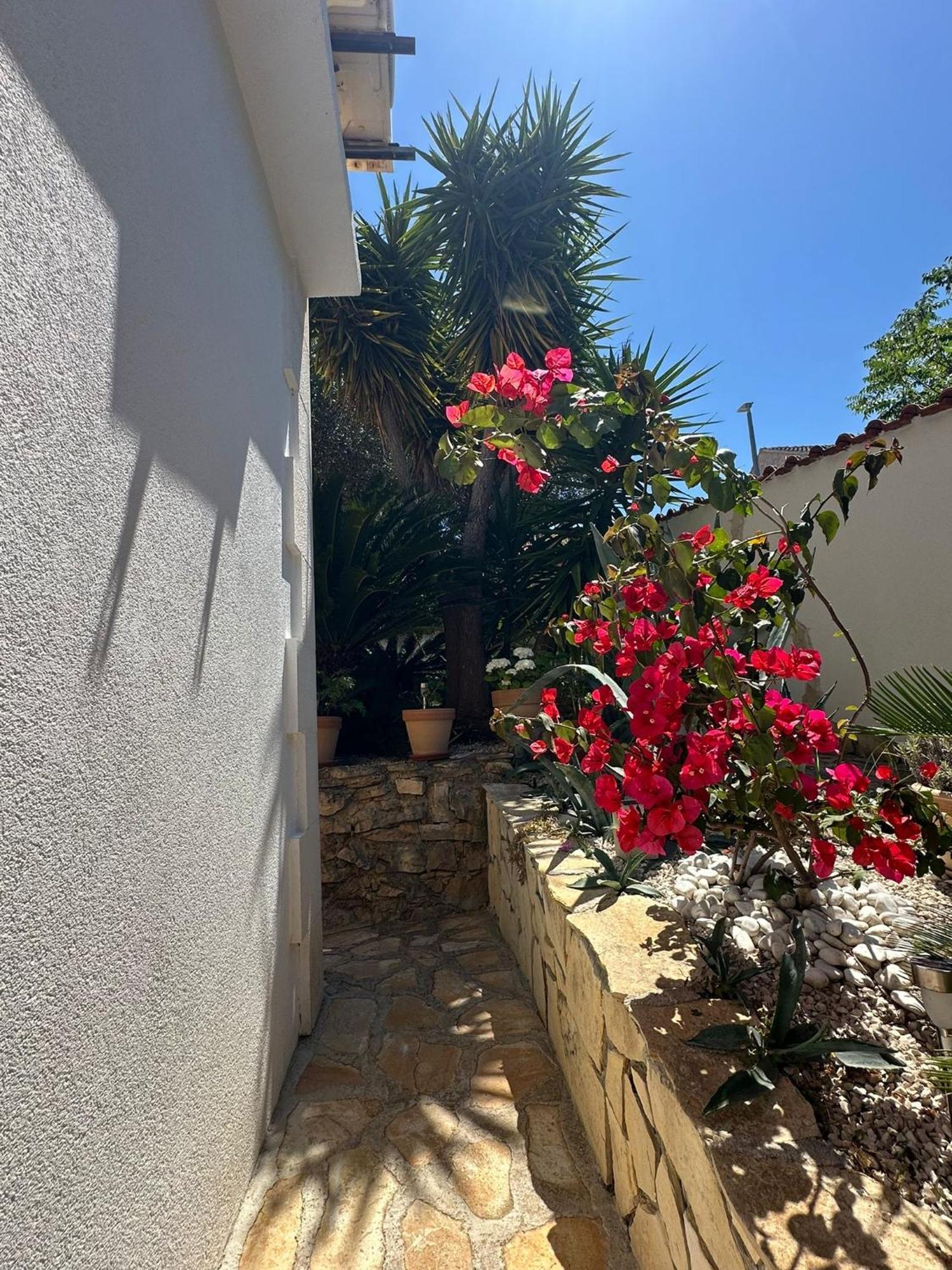 סופטאר Apartments Brac מראה חיצוני תמונה