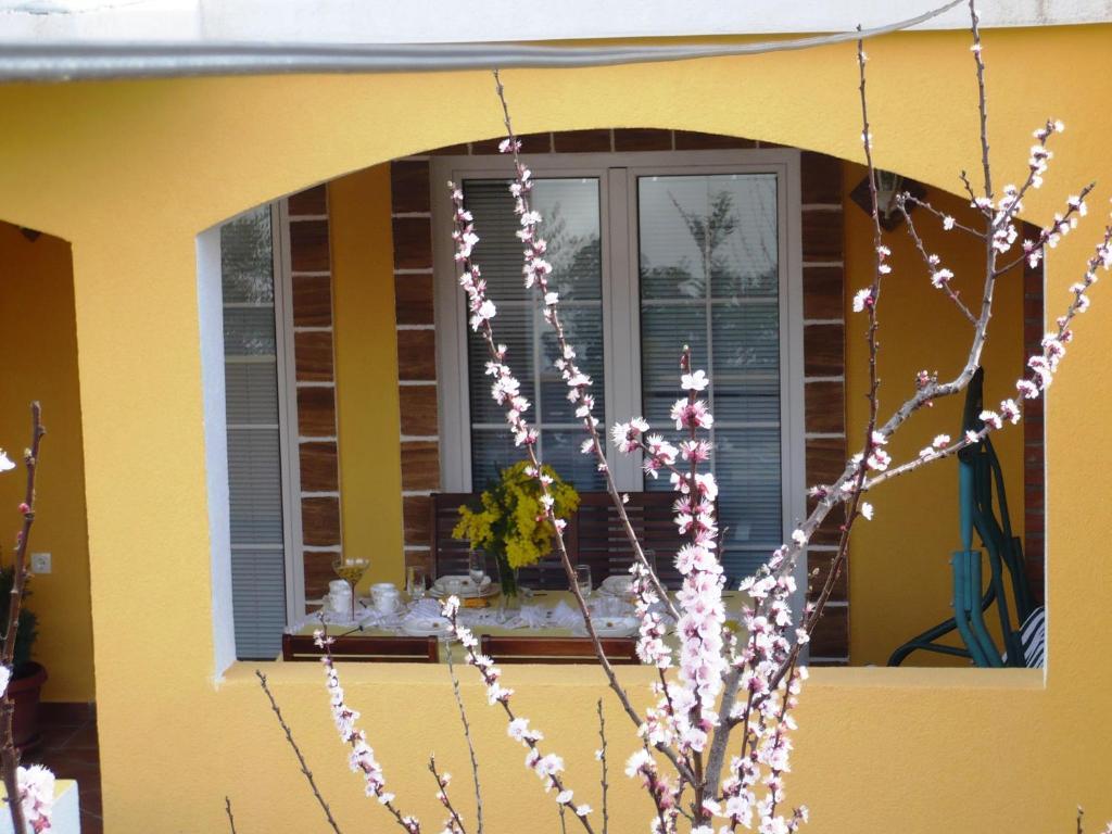 סופטאר Apartments Brac חדר תמונה
